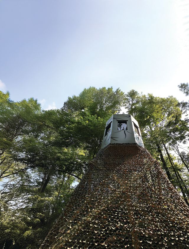 Tagout hunting blinds
