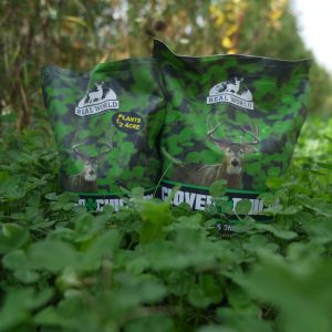 Clover and Chicory Blend