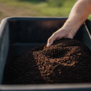 Humic Acid