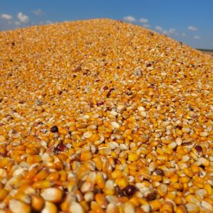 Nutri-Crave Deer Corn