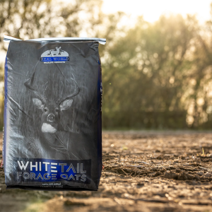 Whitetail Forage Oats